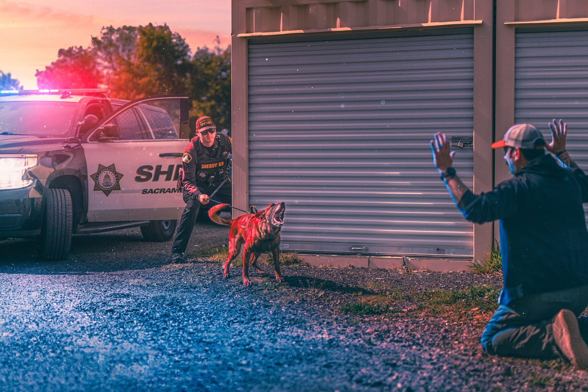 Sacramento K-9 · Annual Calendar — photo 1
