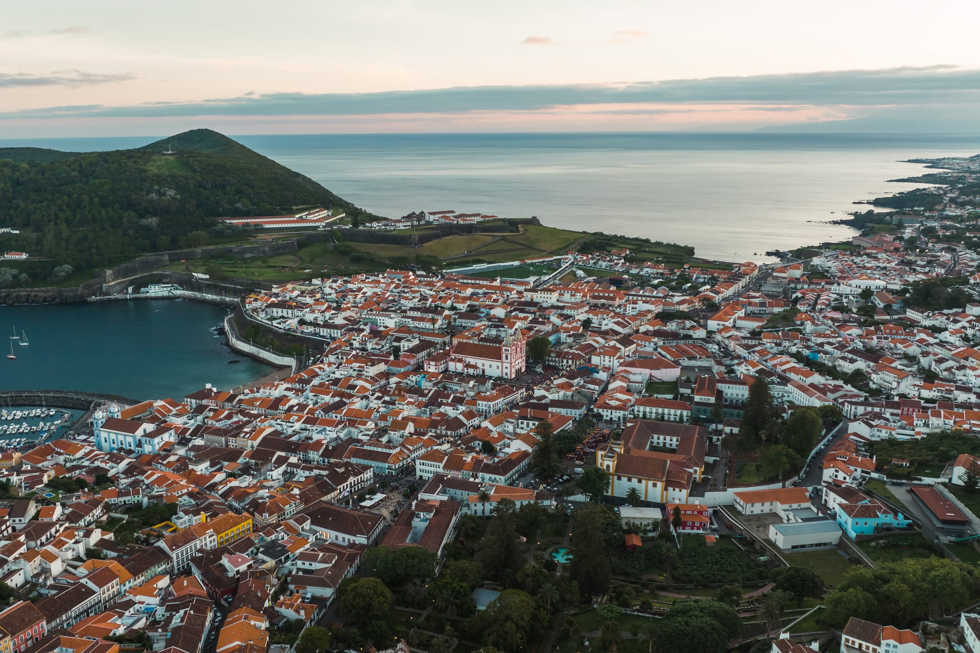 Aerial of green Azores coastal cliffs and terraced fields.